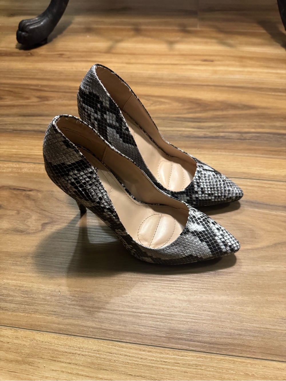 Pointed-Toe Snake-Print Heels in Black, Grey and White